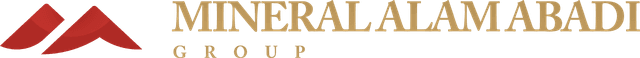 Logo PerforMAA+